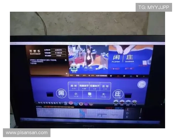 百家乐路单软件帮助玩家精准分析走势提升胜率的实用工具推荐